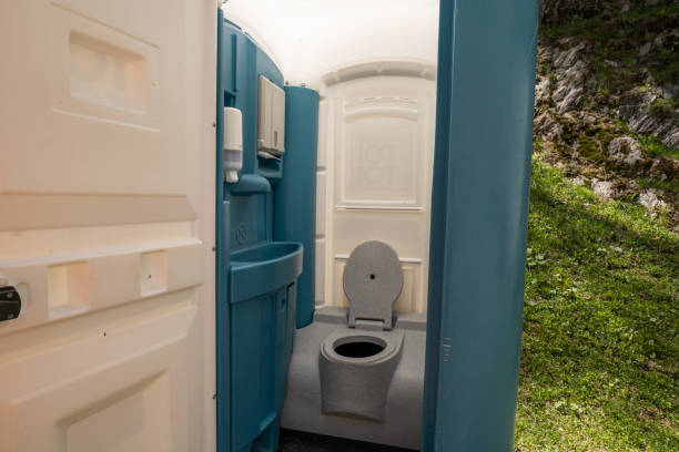 Best Sanitation services for porta potties  in Montrose, MI