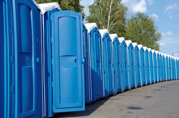 Best Luxury portable toilet rental  in Montrose, MI